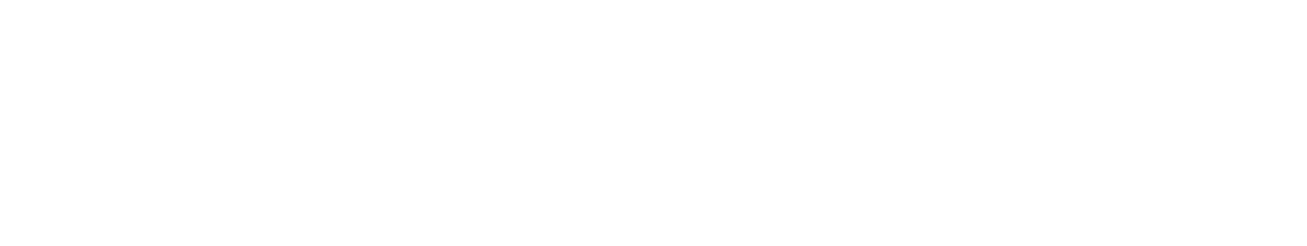 LAIDISHINE Site Logo-Weiß