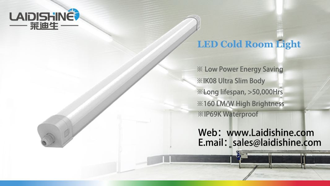 إضاءة LED للغرفة الباردة - غلاف الأخبار