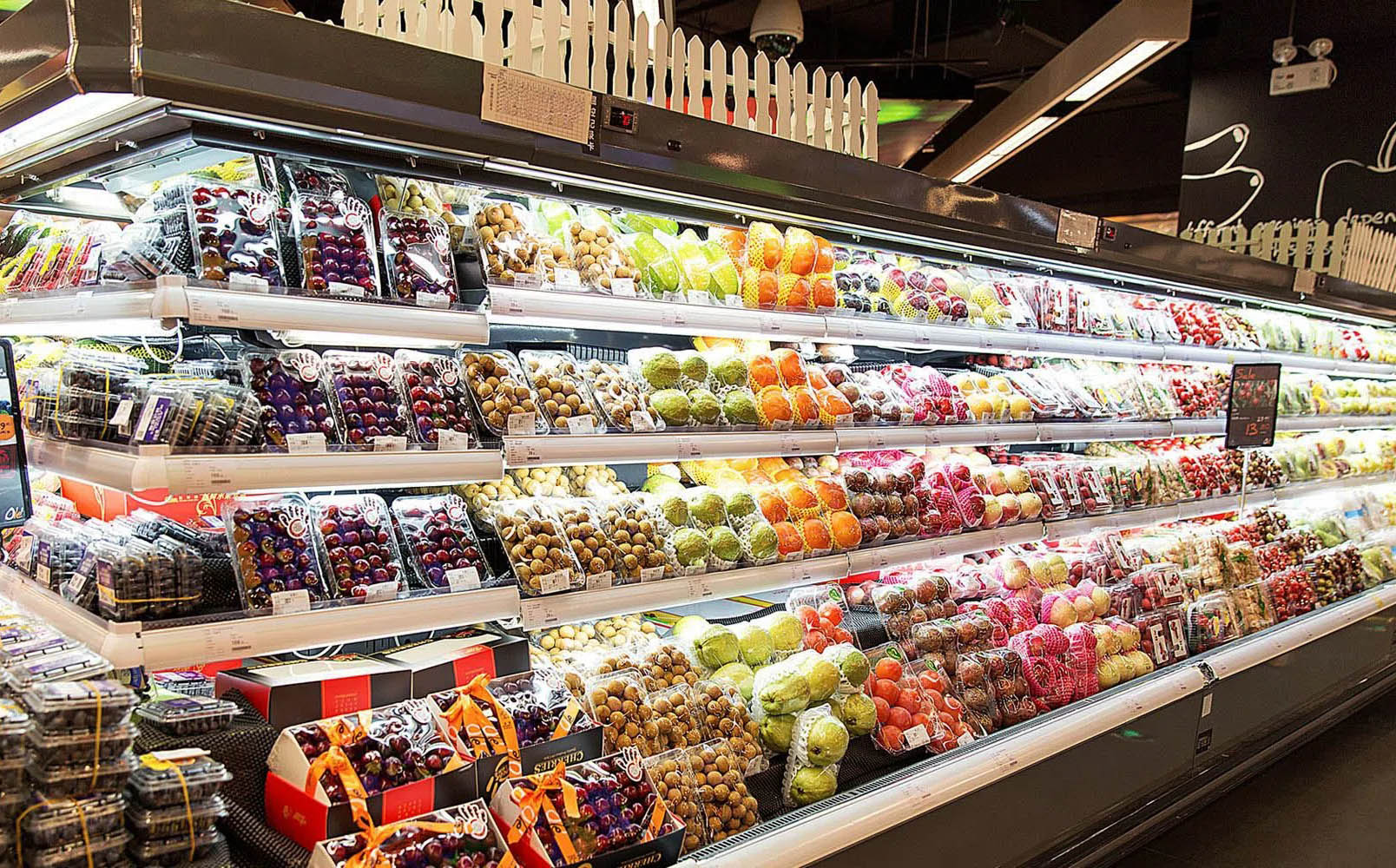 Semi-vertical Refrigerator Lighting 1608×1000