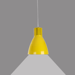 Fresh meat Pendant light
