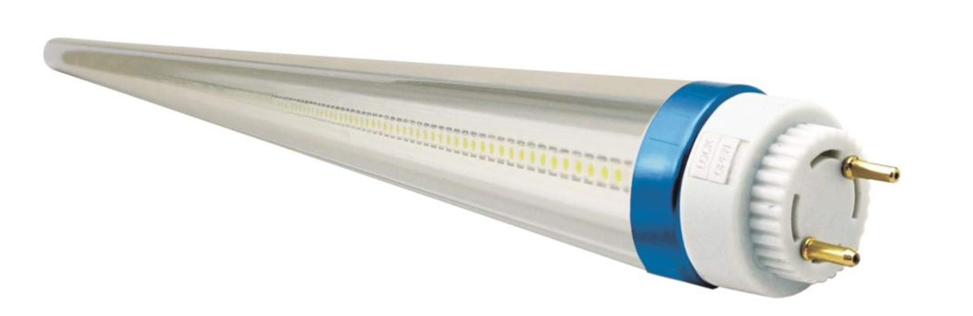 T8 Fluorescent Lamp