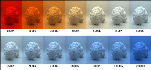 Color Temperature Comparison Chart